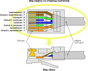 rj45 pair crimp twisted connector